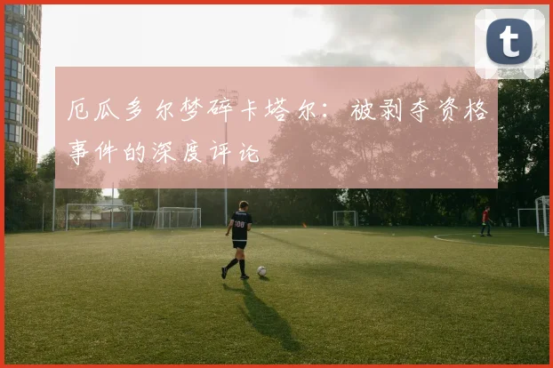 厄瓜多尔梦碎卡塔尔：被剥夺资格事件的深度评论