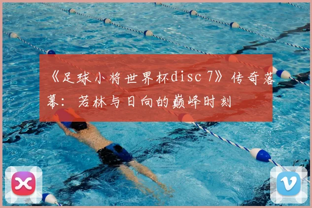 《足球小将世界杯disc 7》传奇落幕:若林与日向的巅峰时刻