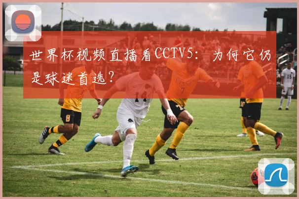 世界杯视频直播看CCTV5：为何它仍是球迷首选？