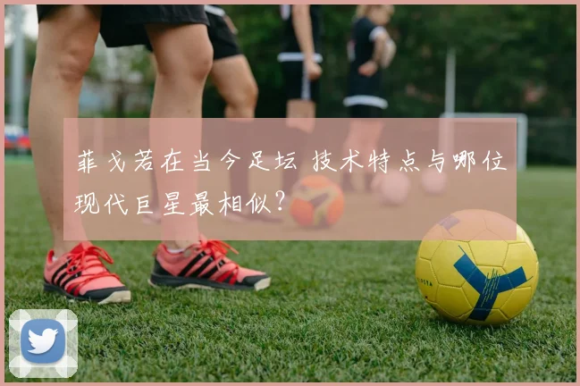 菲戈若在当今足坛 技术特点与哪位现代巨星最相似?