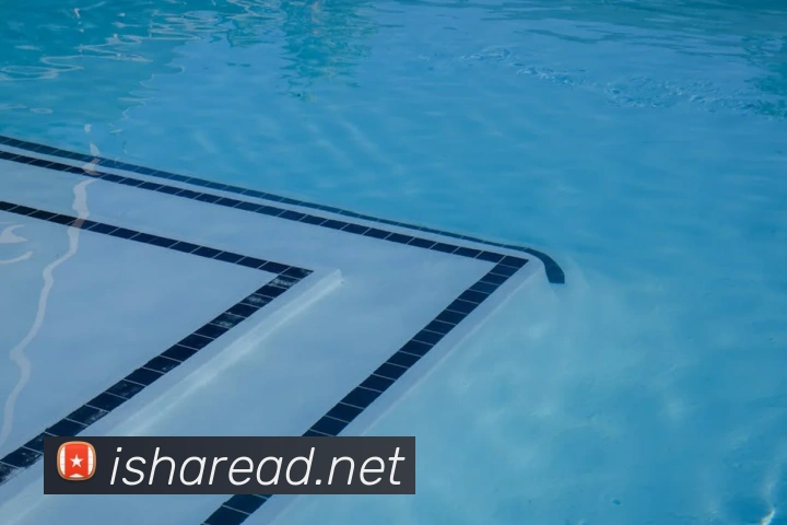 333体育官网是什么平台生态图