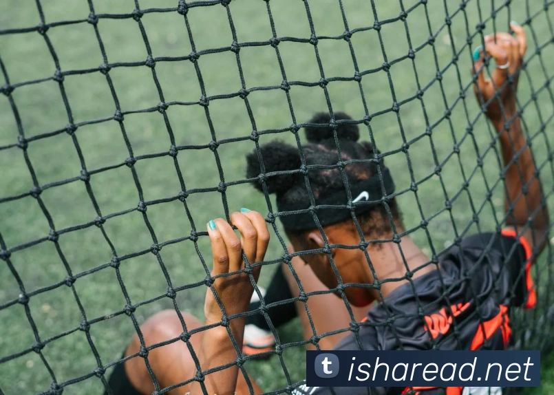 333体育官网是什么APP 封面图